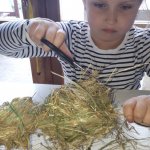 phoca_thumb_m_m.h.   29 Fotogalerie
